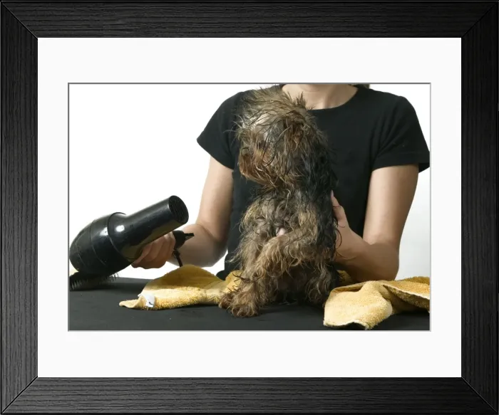 Framed Print : Picture No. 10768785 Framed Print : Picture No. 10768785