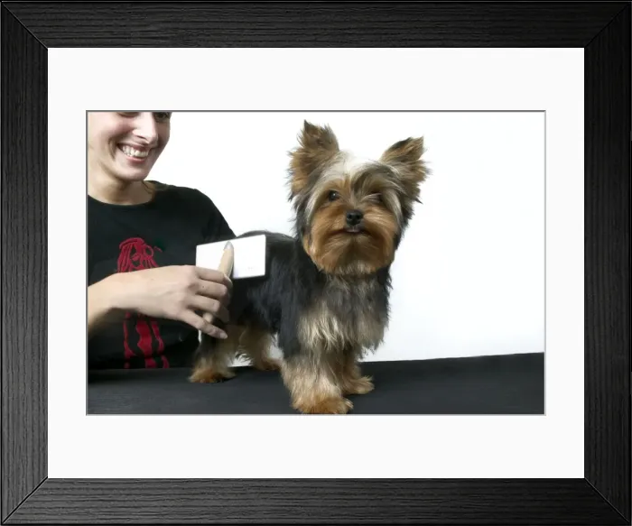 Framed Print : Picture No. 10768786 Framed Print : Picture No. 10768786
