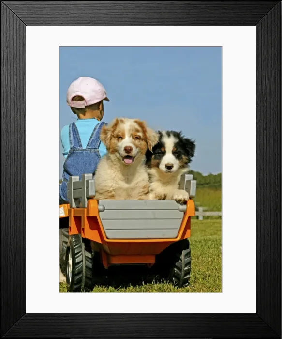 Framed Print : Picture No. 10768796 Framed Print : Picture No. 10768796