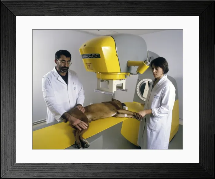 Framed Print : Picture No. 10768899 Framed Print : Picture No. 10768899