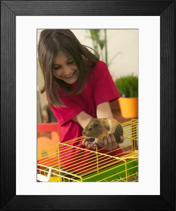 Framed Print : Picture No. 10769029 Framed Print : Picture No. 10769029