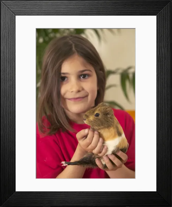Framed Print : Picture No. 10769032 Framed Print : Picture No. 10769032