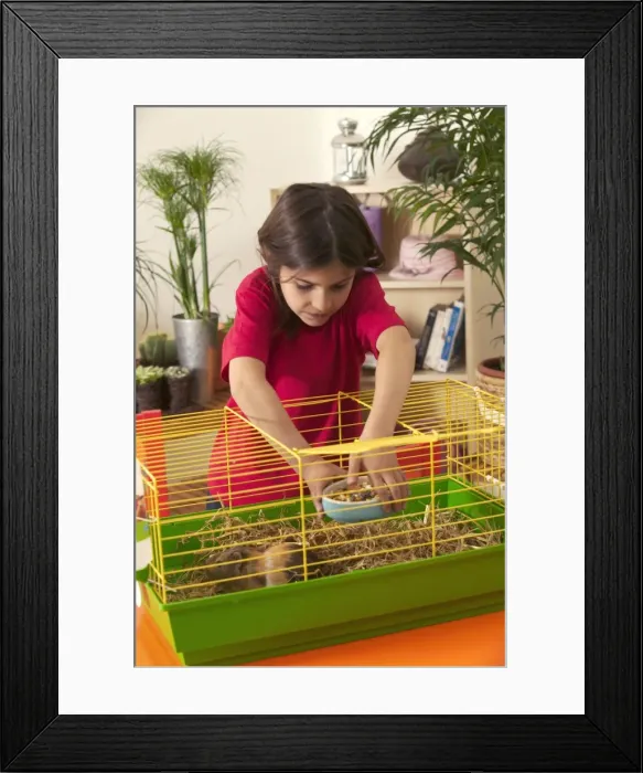 Framed Print : Picture No. 10769033 Framed Print : Picture No. 10769033