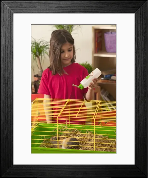 Framed Print : Picture No. 10769031 Framed Print : Picture No. 10769031