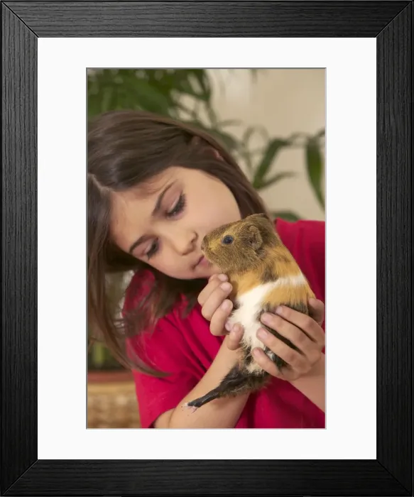 Framed Print : Picture No. 10769034