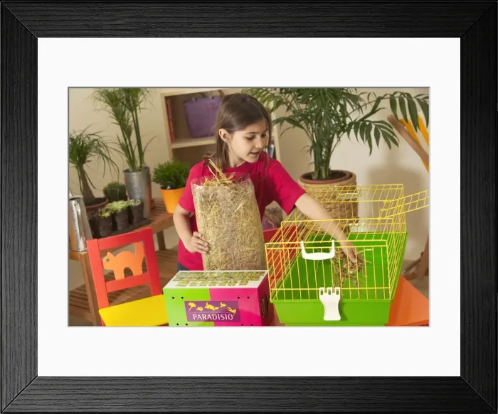 Framed Print : Picture No. 10769035 Framed Print : Picture No. 10769035