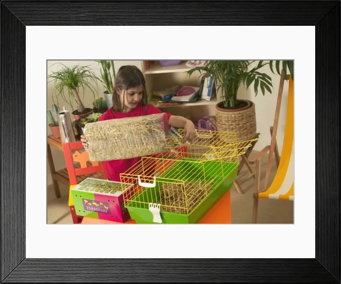 Framed Print : Picture No. 10769036 Framed Print : Picture No. 10769036
