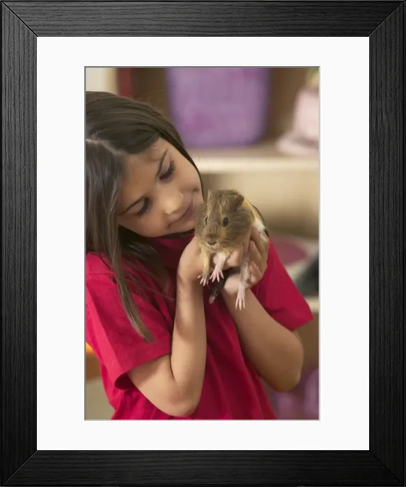 Framed Print : Picture No. 10769038 Framed Print : Picture No. 10769038