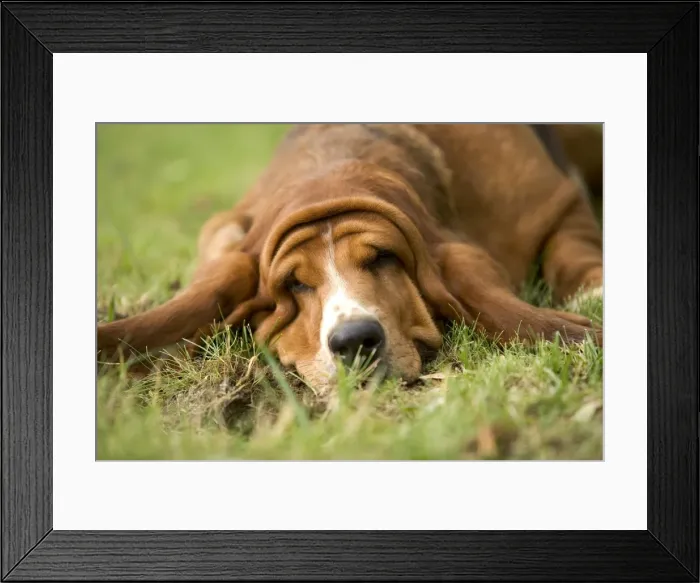 Framed Print : Picture No. 10769076 Framed Print : Picture No. 10769076
