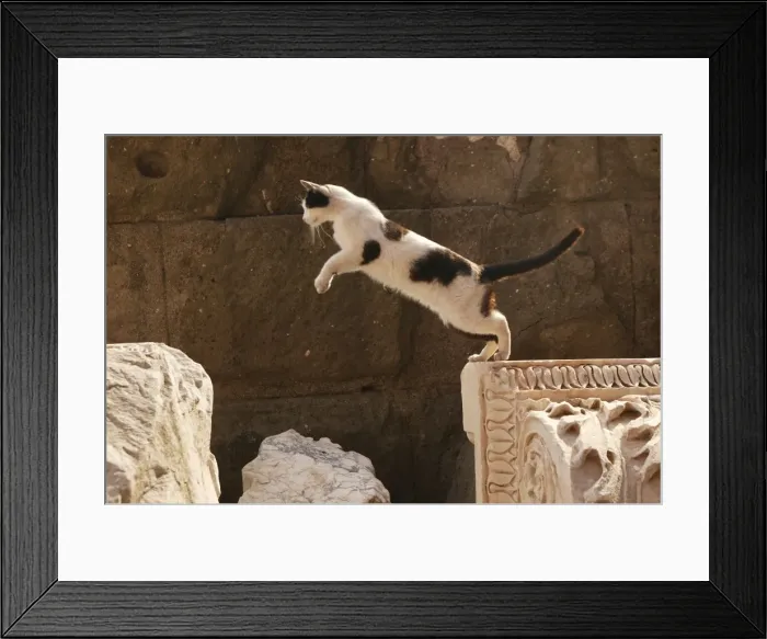 Framed Print : Picture No. 10769086 Framed Print : Picture No. 10769086