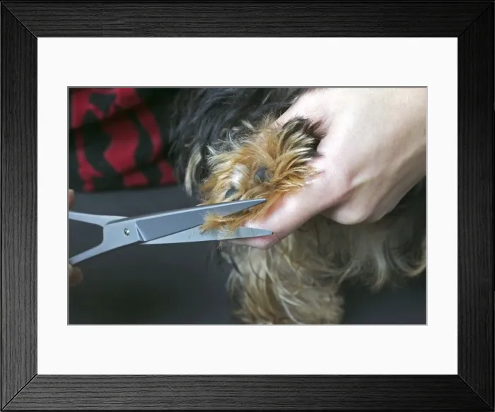 Framed Print : Picture No. 10769168 Framed Print : Picture No. 10769168