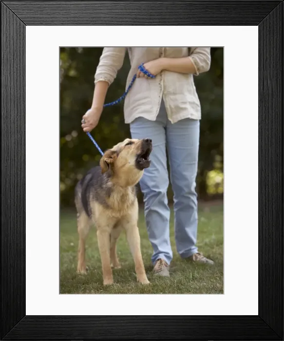 Framed Print : Picture No. 10769268 Framed Print : Picture No. 10769268