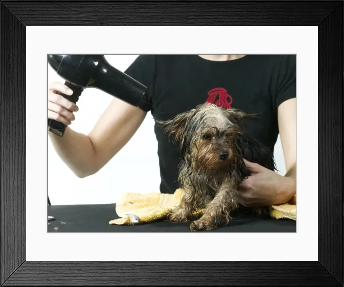 Framed Print : Picture No. 10769169 Framed Print : Picture No. 10769169