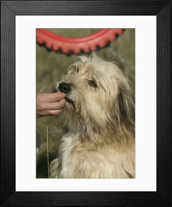 Framed Print : Picture No. 10769208 Framed Print : Picture No. 10769208