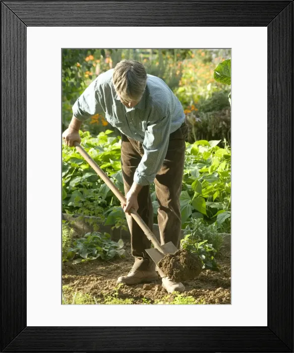 Framed Print : Picture No. 10769175 Framed Print : Picture No. 10769175