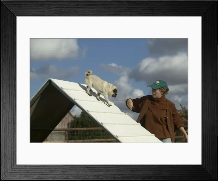 Framed Print : Picture No. 10769209 Framed Print : Picture No. 10769209