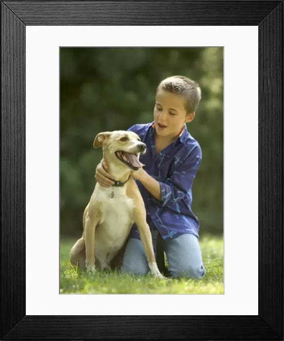 Framed Print : Picture No. 10769241 Framed Print : Picture No. 10769241