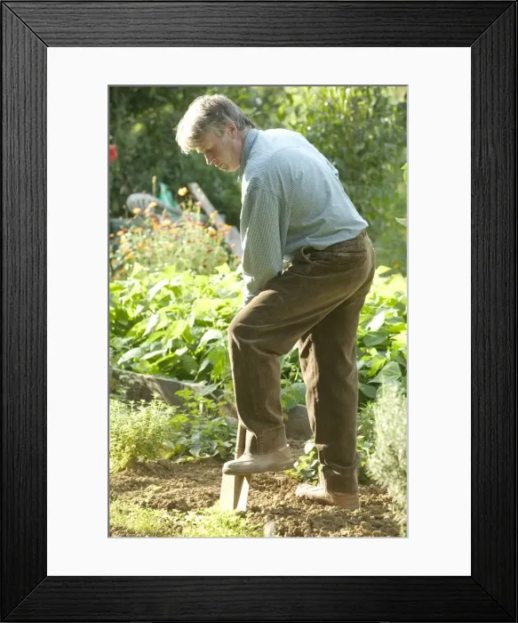 Framed Print : Picture No. 10769176 Framed Print : Picture No. 10769176