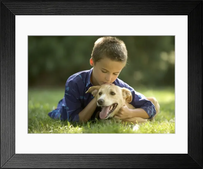 Framed Print : Picture No. 10769242 Framed Print : Picture No. 10769242