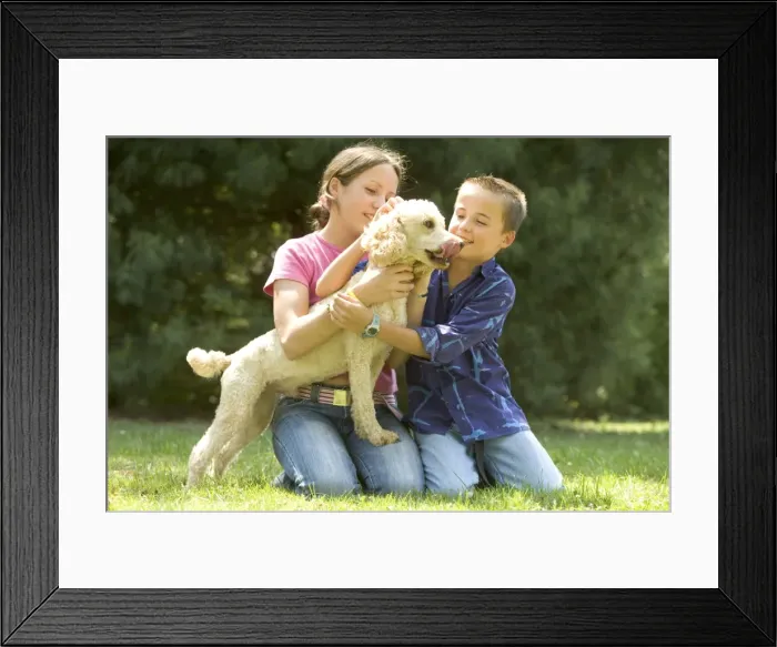 Framed Print : Picture No. 10769252 Framed Print : Picture No. 10769252