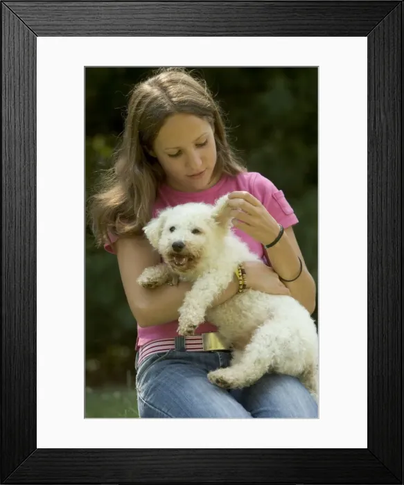 Framed Print : Picture No. 10769254 Framed Print : Picture No. 10769254