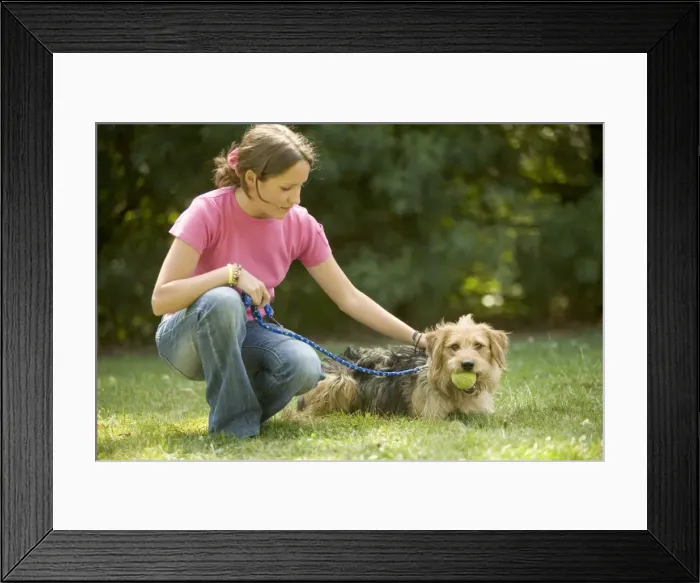 Framed Print : Picture No. 10769234 Framed Print : Picture No. 10769234