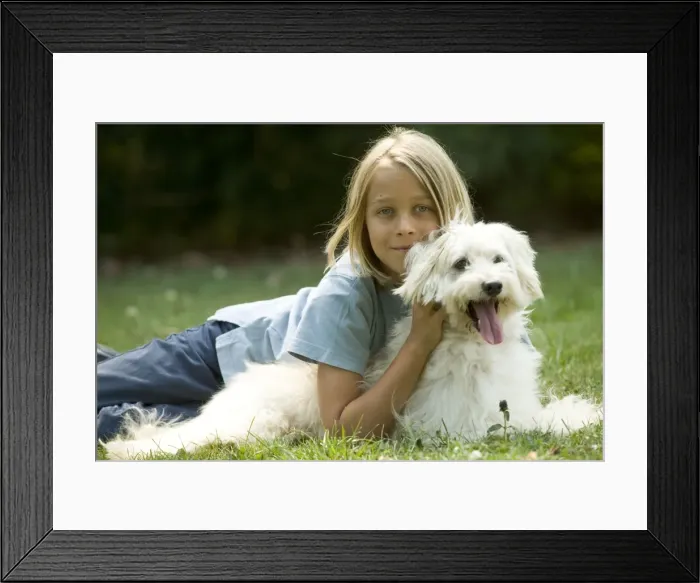 Framed Print : Picture No. 10769261 Framed Print : Picture No. 10769261