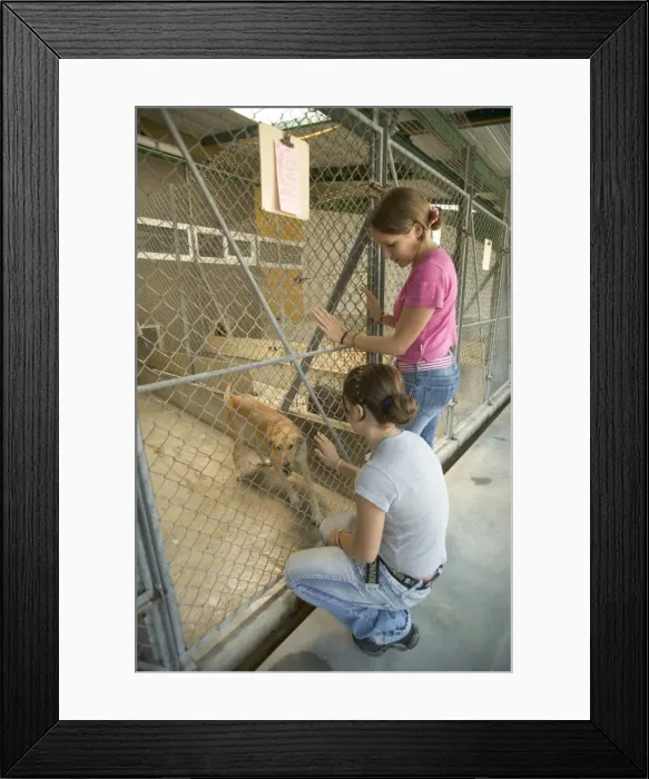 Framed Print : Picture No. 10769253 Framed Print : Picture No. 10769253