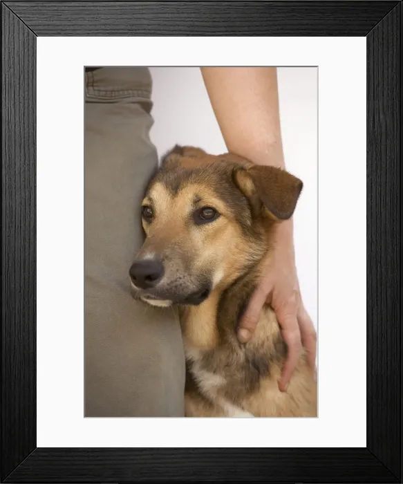 Framed Print : Picture No. 10769267 Framed Print : Picture No. 10769267