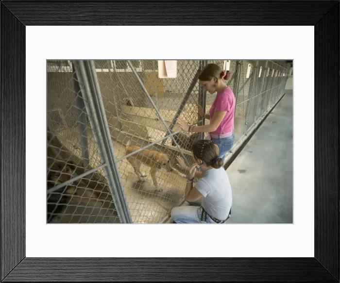 Framed Print : Picture No. 10769259 Framed Print : Picture No. 10769259