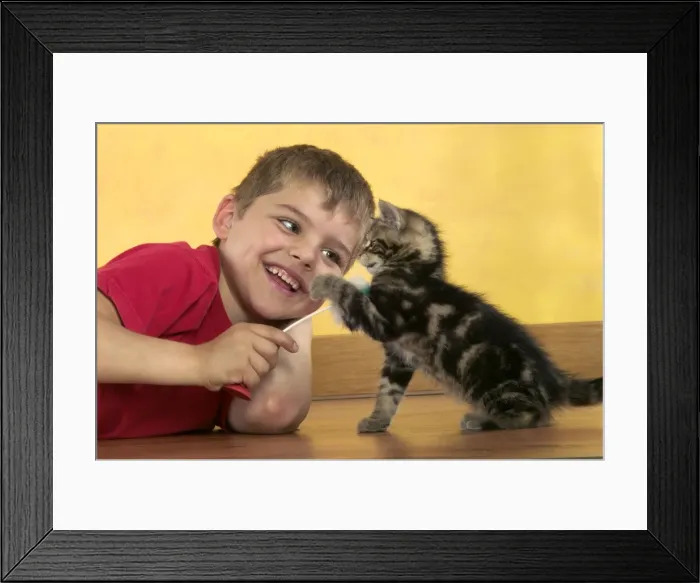 Framed Print : Picture No. 10769271 Framed Print : Picture No. 10769271