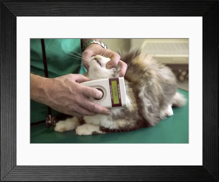 Framed Print : Picture No. 10769298 Framed Print : Picture No. 10769298