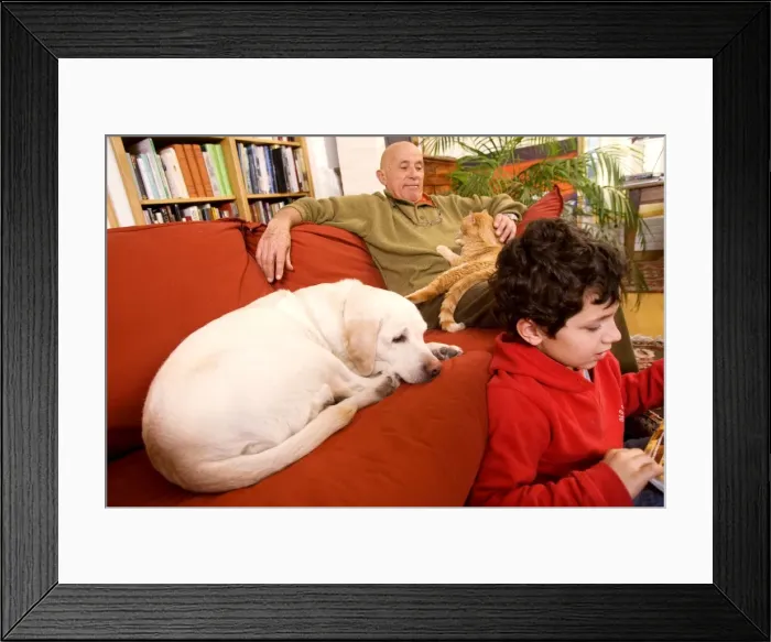 Framed Print : Picture No. 10769364 Framed Print : Picture No. 10769364