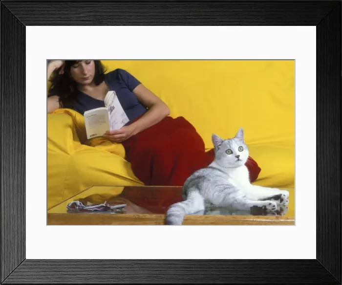 Framed Print : Picture No. 10769361 Framed Print : Picture No. 10769361