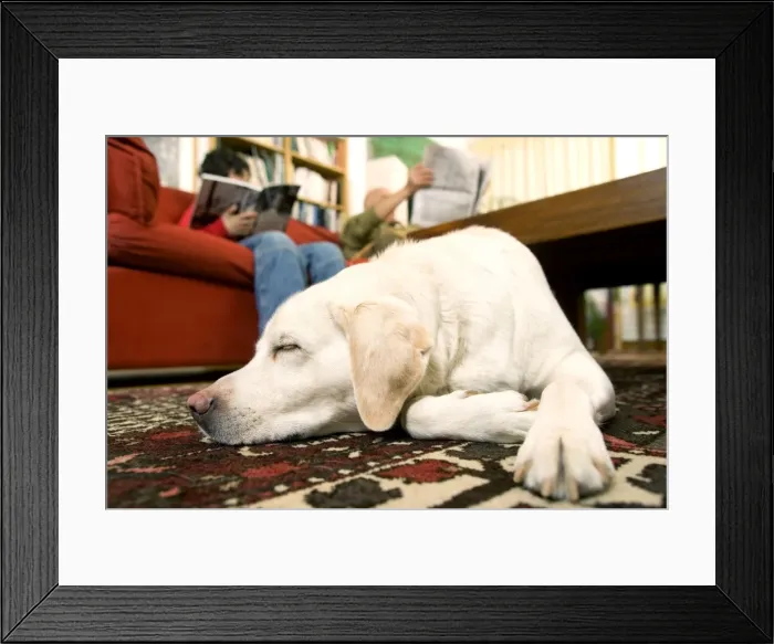 Framed Print : Picture No. 10769365 Framed Print : Picture No. 10769365
