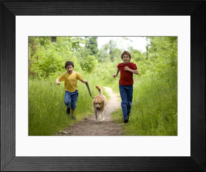 Framed Print : Picture No. 10769366 Framed Print : Picture No. 10769366