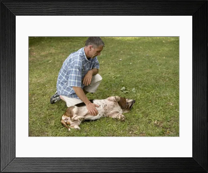 Framed Print : Picture No. 10769368 Framed Print : Picture No. 10769368