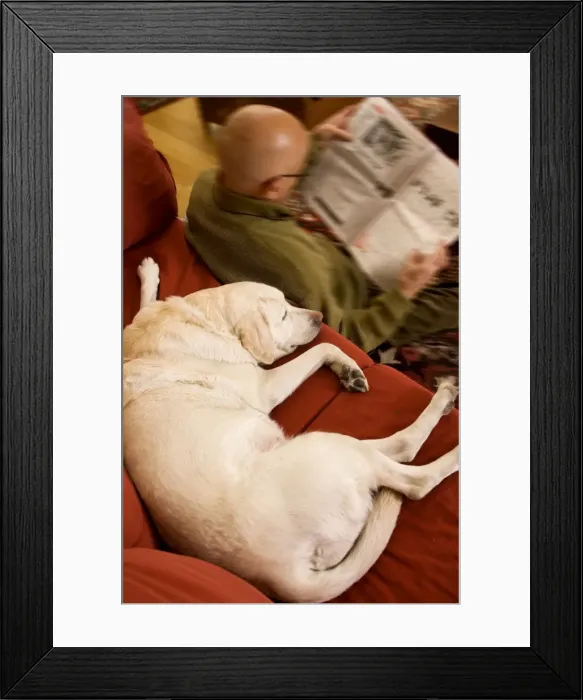 Framed Print : Picture No. 10769371 Framed Print : Picture No. 10769371