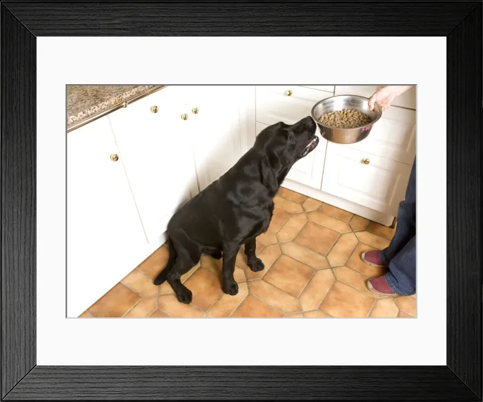 Framed Print : Picture No. 10769375 Framed Print : Picture No. 10769375