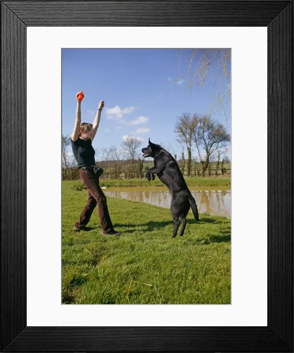 Framed Print : Picture No. 10769370 Framed Print : Picture No. 10769370