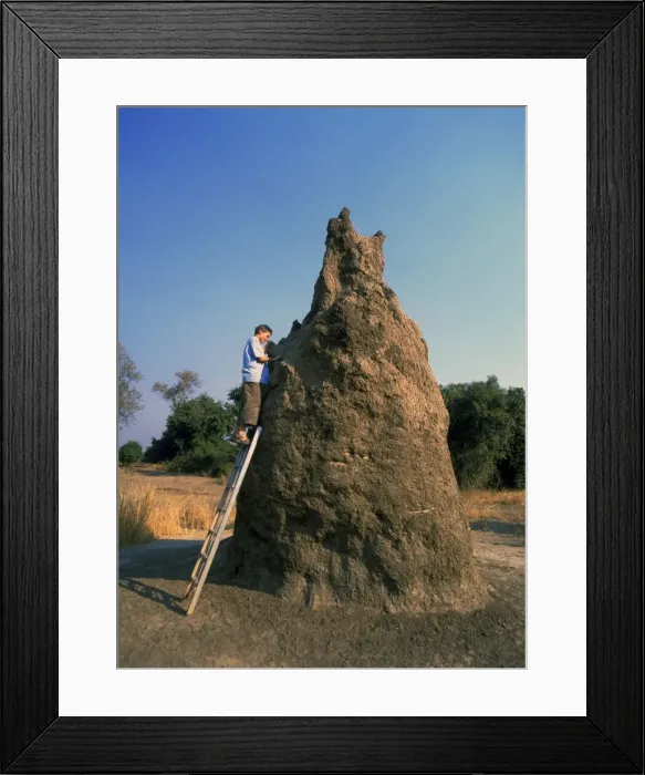Framed Print : Picture No. 10769401 Framed Print : Picture No. 10769401