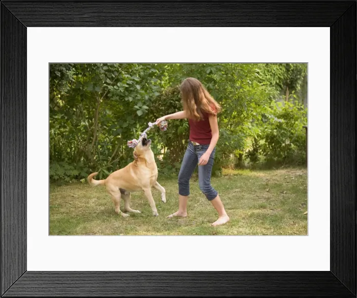 Framed Print : Picture No. 10769374