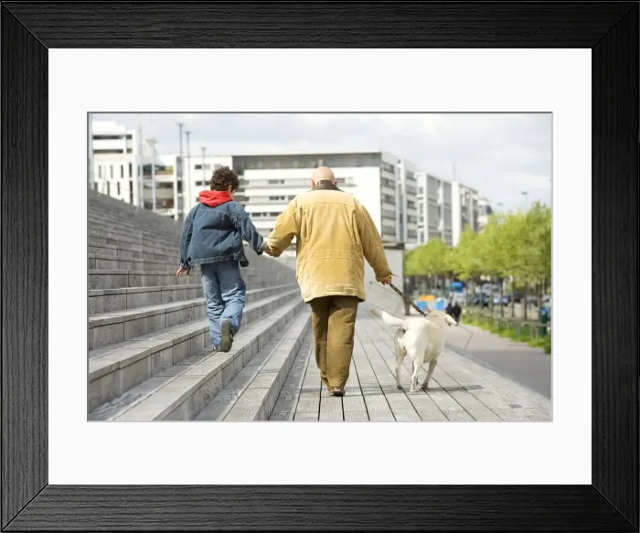 Framed Print : Picture No. 10769454 Framed Print : Picture No. 10769454