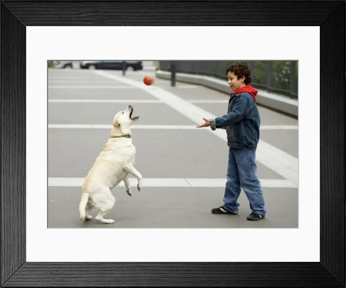 Framed Print : Picture No. 10769463 Framed Print : Picture No. 10769463
