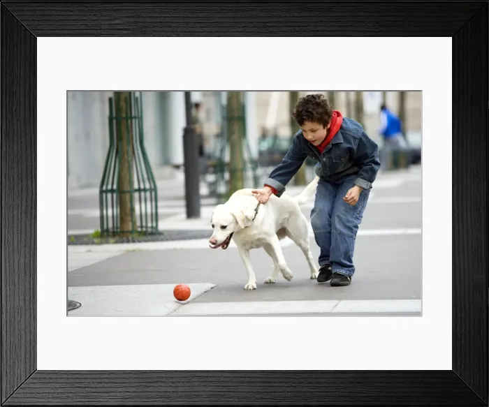 Framed Print : Picture No. 10769459 Framed Print : Picture No. 10769459
