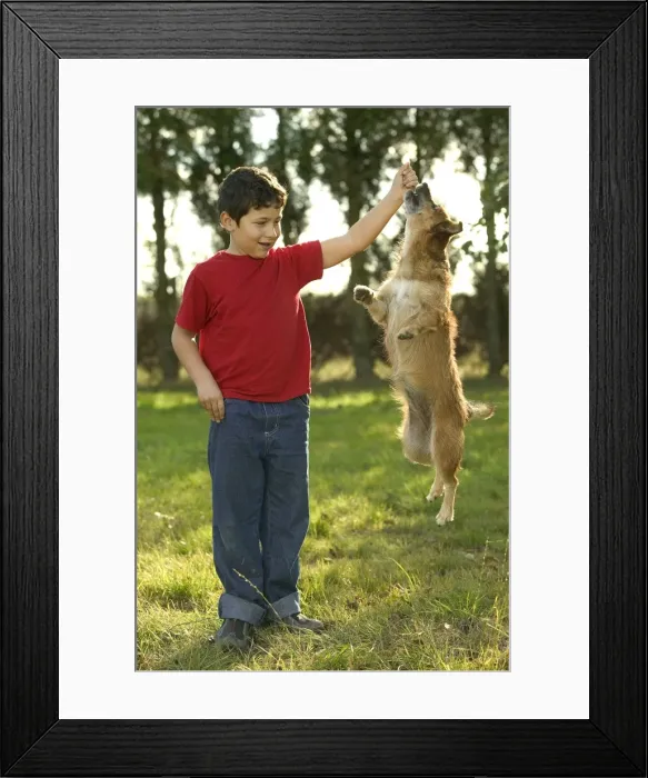 Framed Print : Picture No. 10769477 Framed Print : Picture No. 10769477