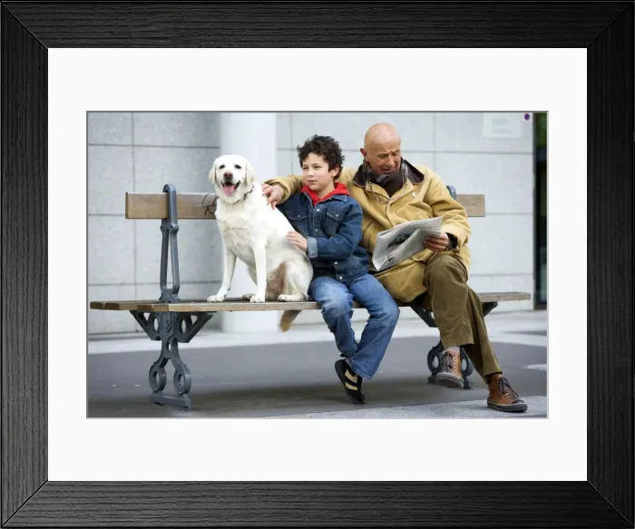 Framed Print : Picture No. 10769469 Framed Print : Picture No. 10769469