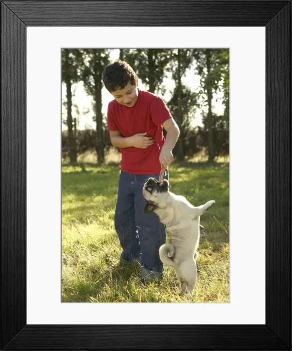 Framed Print : Picture No. 10769476 Framed Print : Picture No. 10769476