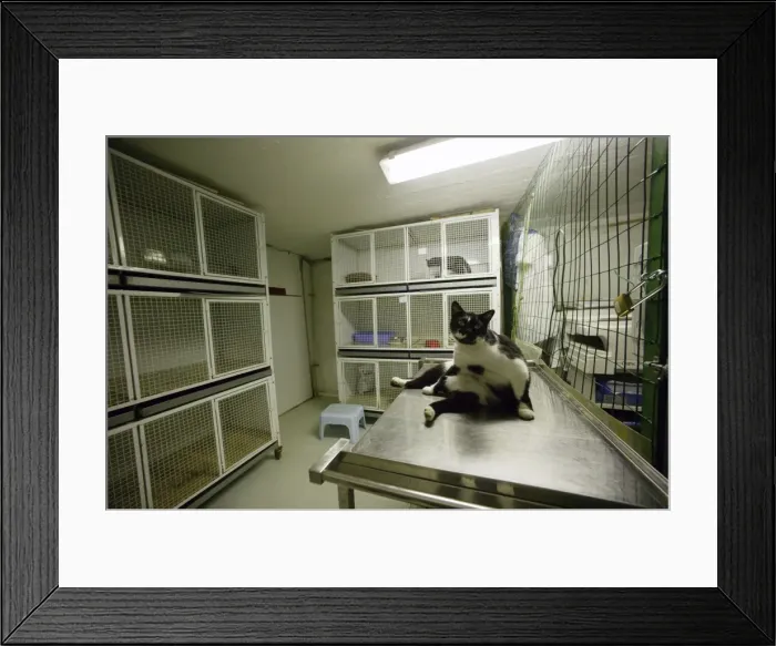 Framed Print : Picture No. 10769665 Framed Print : Picture No. 10769665