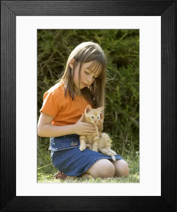 Framed Print : Picture No. 10769668 Framed Print : Picture No. 10769668